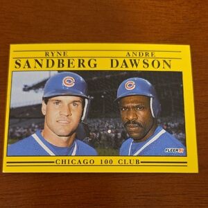 Fleer '91 MLB Baseball Cards (Set of 24) | Feat. Ryne Sandberg & Andre Dawson